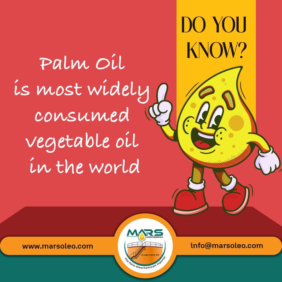 Palm Oil is one of the world's most widely consumed vegetable oils, featuring a cartoon palm oil drop character, company branding, website and contact email.