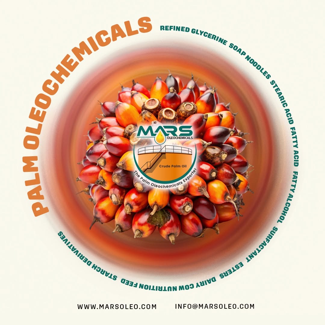 Mars Oleochemicals palm oleochemical product portfolio featuring oil palm fruits, refined glycerine, soap noodles, fatty acids, fatty alcohols, surfactants and esters