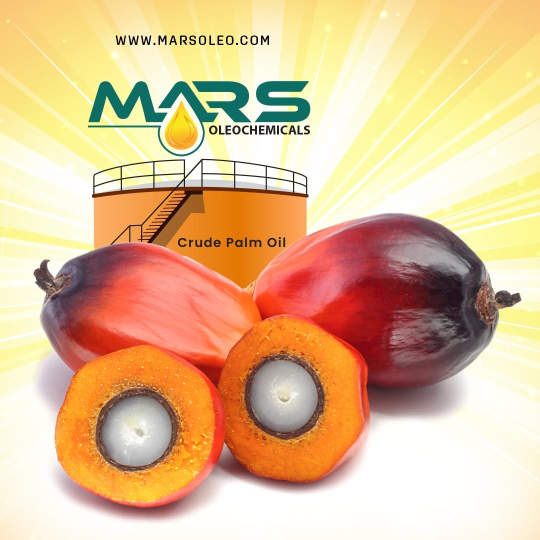 Mars Oleochemicals featuring oil palm fruits, palm kernel and crude palm oil storage representing palm-based products.