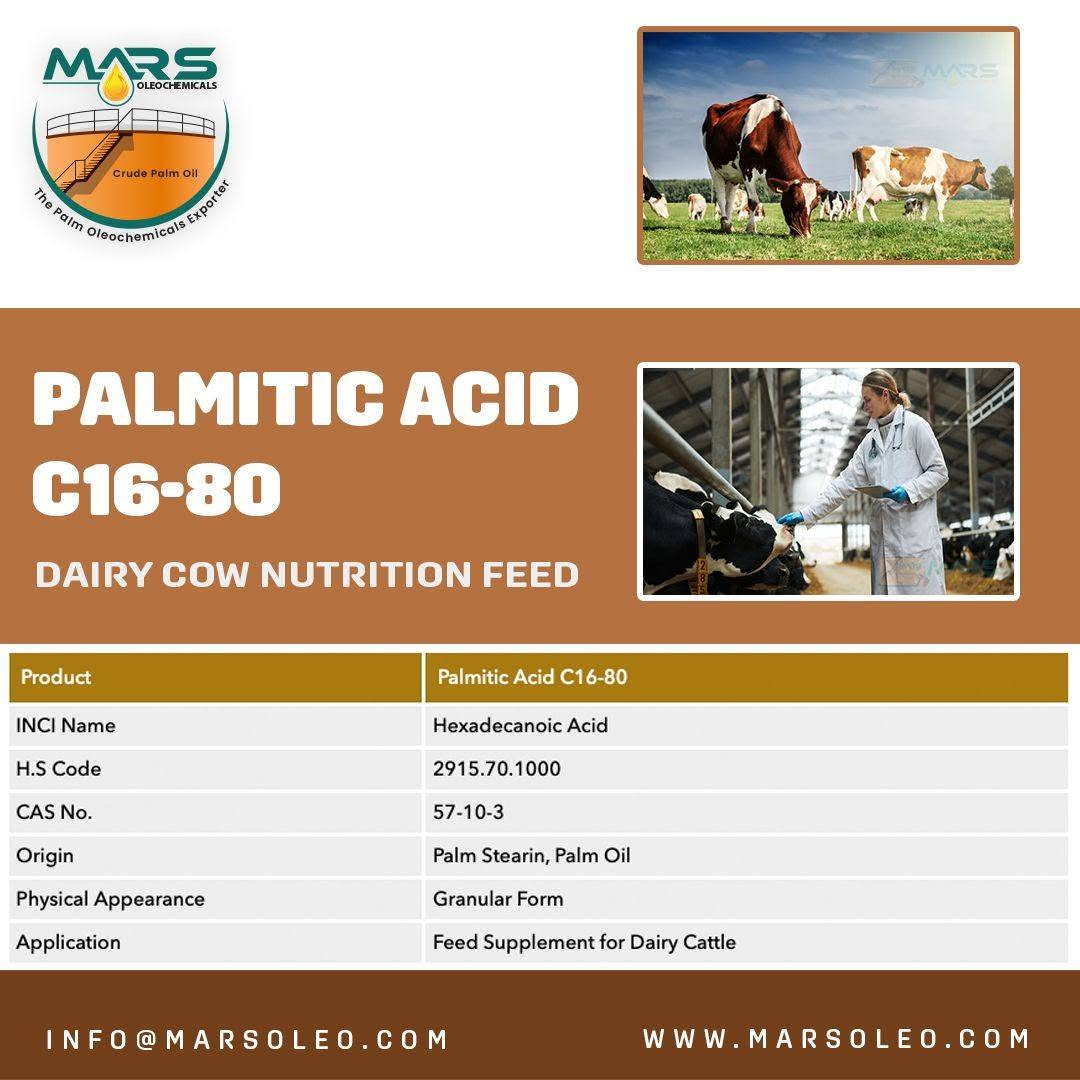 Palmitic Acid C16-80 for energy-dense dairy-cattle and ruminant feed formulations, specifications and export supply.