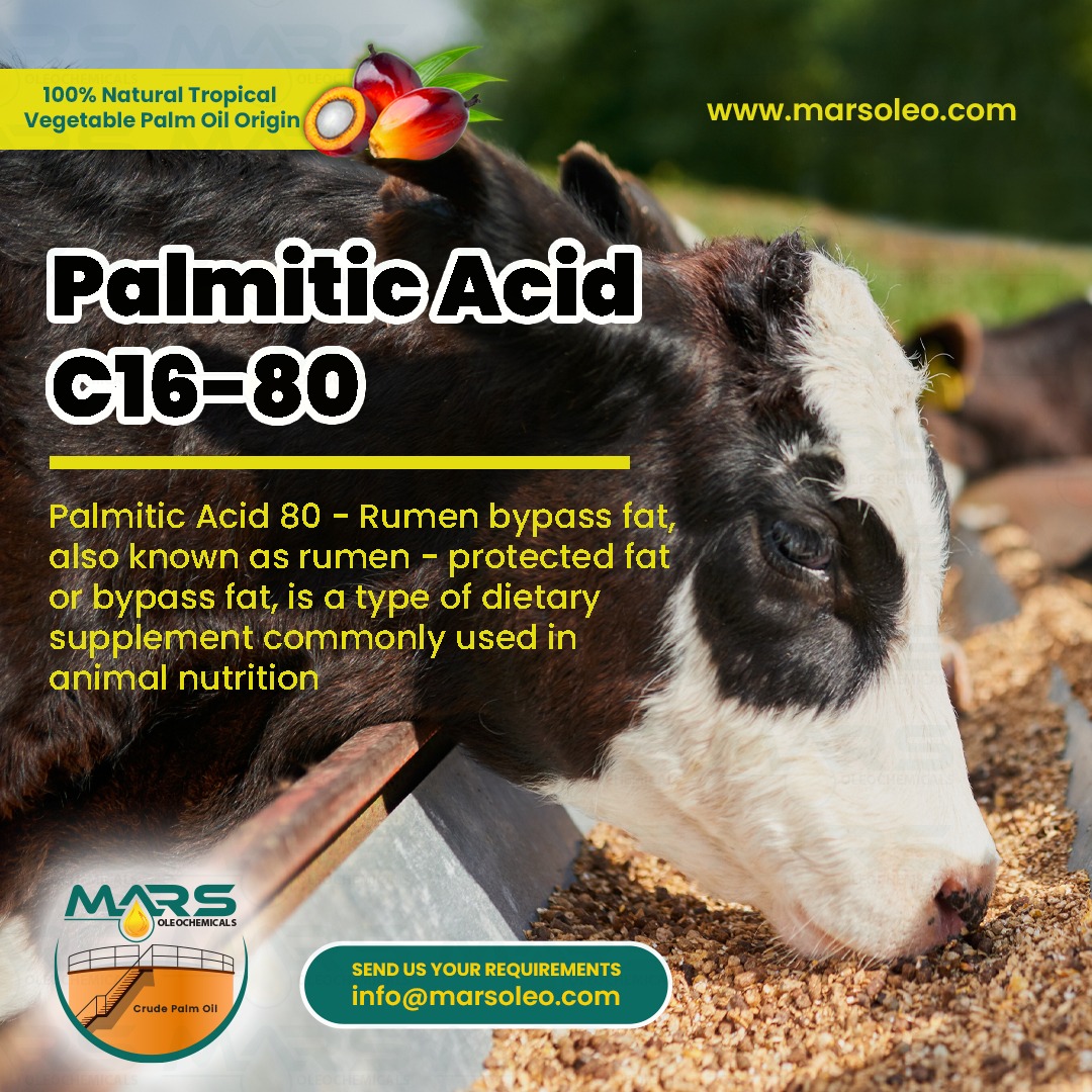 Palmitic Acid C16-80 rumen bypass fat supplier Malaysia for dairy cow nutrition milk production and livestock performance