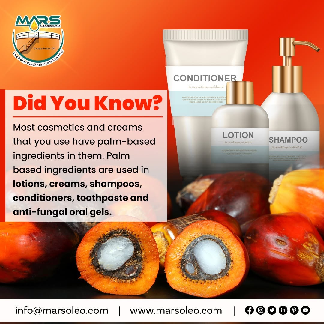 Palm-derived oleochemical ingredients used in lotions, creams, shampoos, conditioners and personal-care formulations.