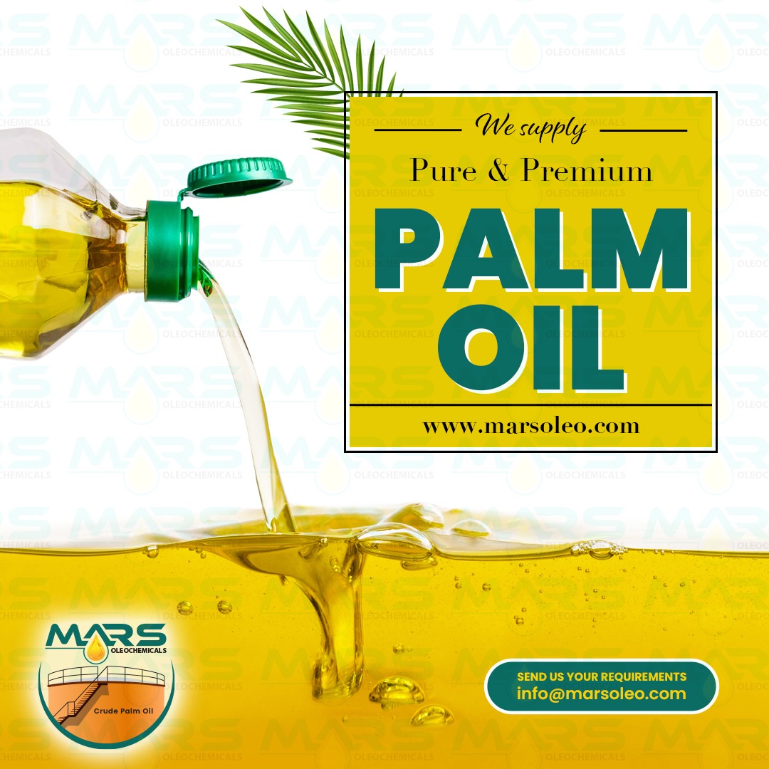 Premium Palm Oil Malaysia supplier exporting pure sustainable palm oil products worldwide.