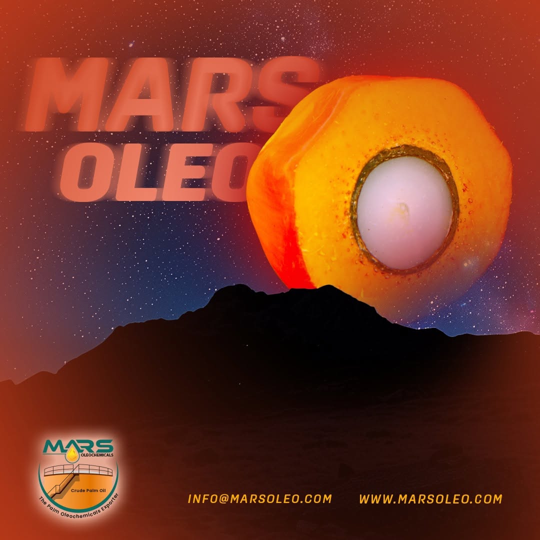 Oil palm fruits with golden palm oil high-quality palm-based oleochemicals supplied by Mars Oleochemicals.