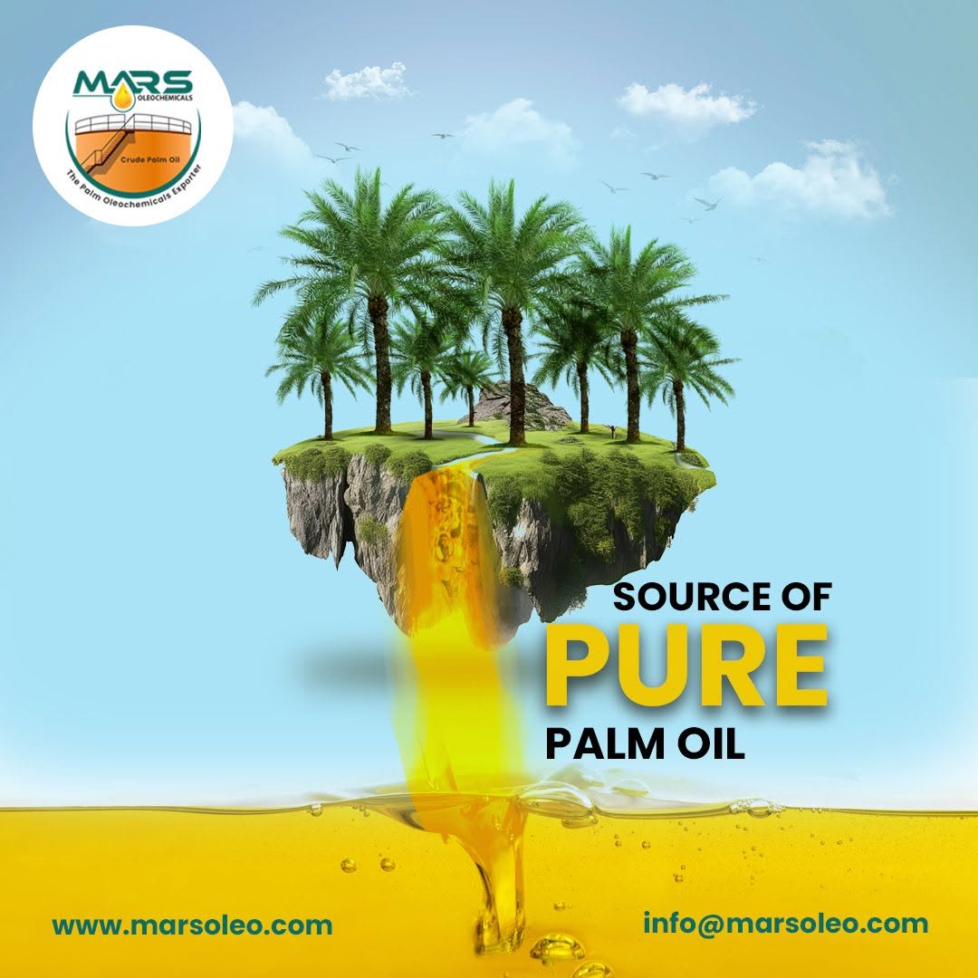 Pure Palm Oil from a Trusted Malaysian Source