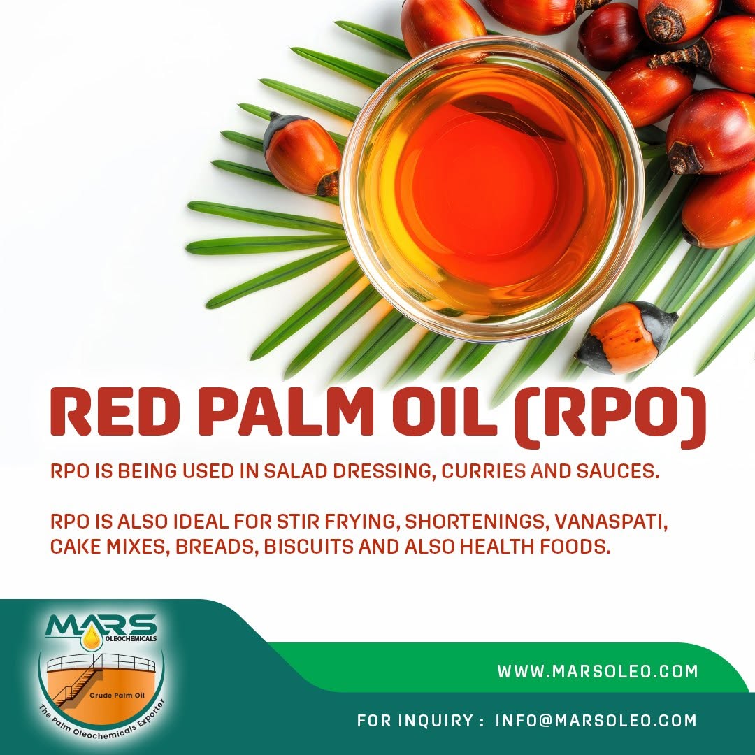 Red Palm Oil with fresh oil palm fruits RPO food applications.