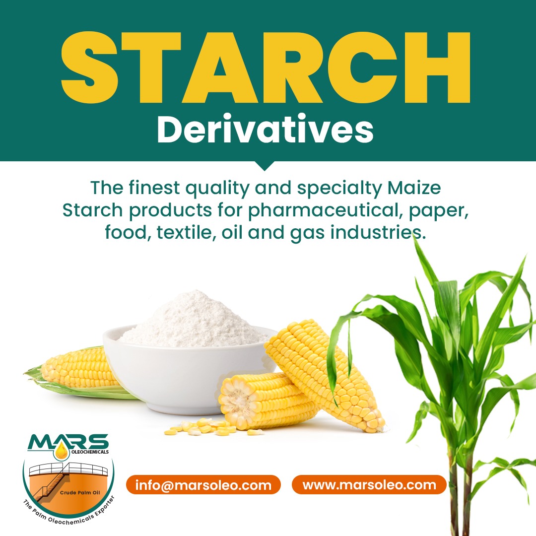 Maize starch powder with corn cobs representing starch derivatives for pharmaceutical food textile and industrial use Malaysia