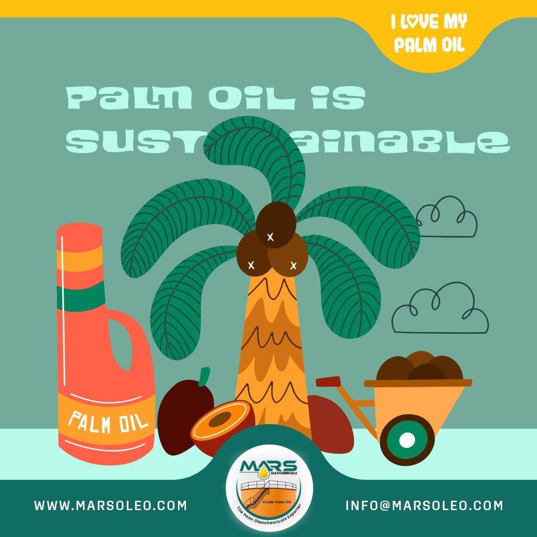 Malaysian palm oil sustainability featuring an oil palm tree, palm fruits and palm oil.