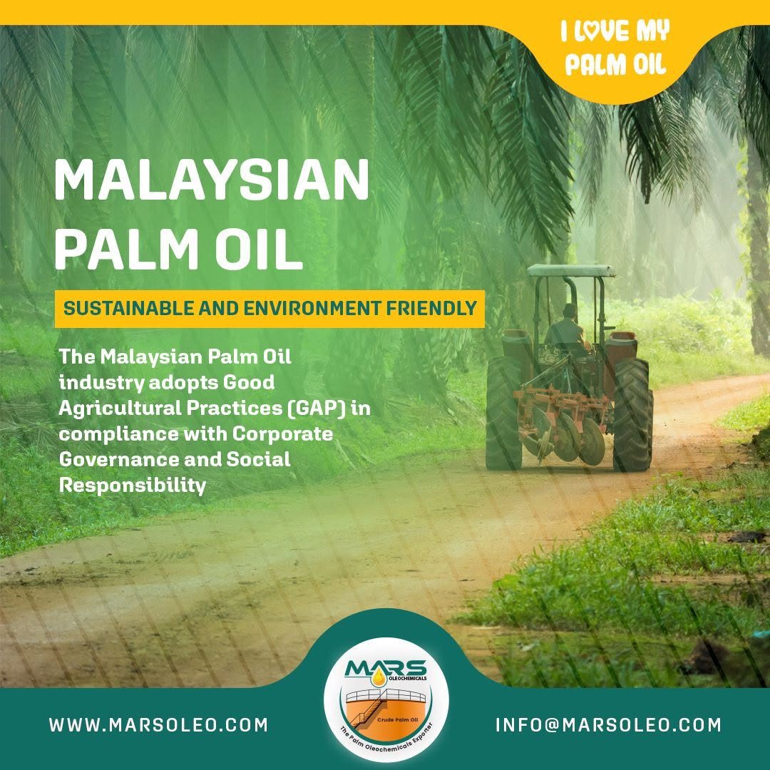 Malaysian palm oil plantation highlighting MSPO sustainability, responsible production and good agricultural practices in Malaysia.