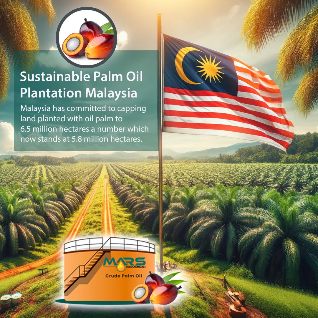 Mars Oleochemicals showing a Malaysian oil palm plantation with the Malaysian flag, palm fruits and crude palm oil storage tank, highlighting Malaysia's palm oil production and commitment to cap total oil palm planted area.