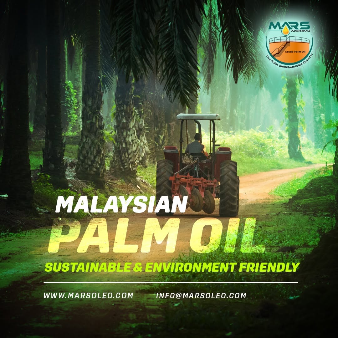 Malaysian oil palm plantation with responsible cultivation and sustainable palm oil production practices.