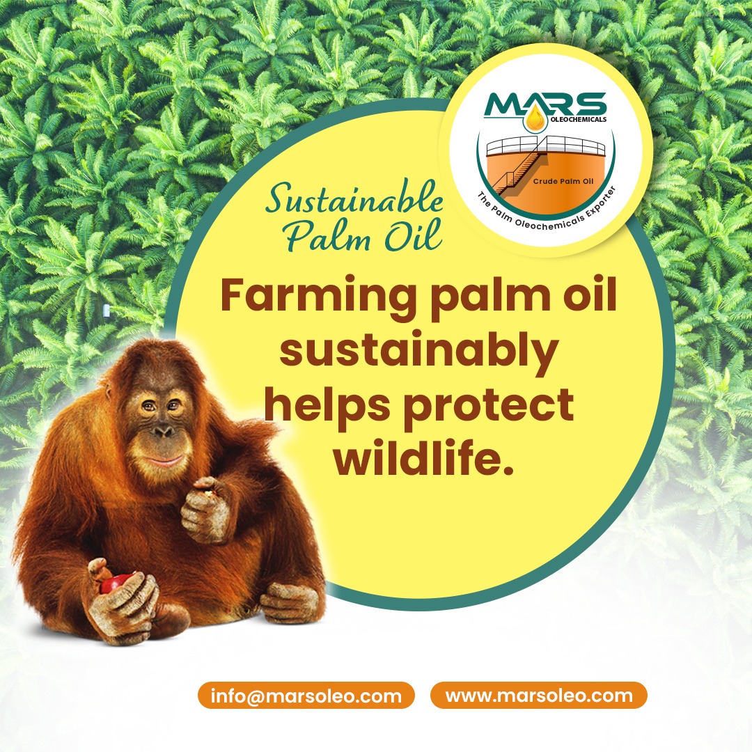 Sustainable palm oil farming with rainforest and orangutan representing wildlife protection and eco friendly palm oil Malaysia