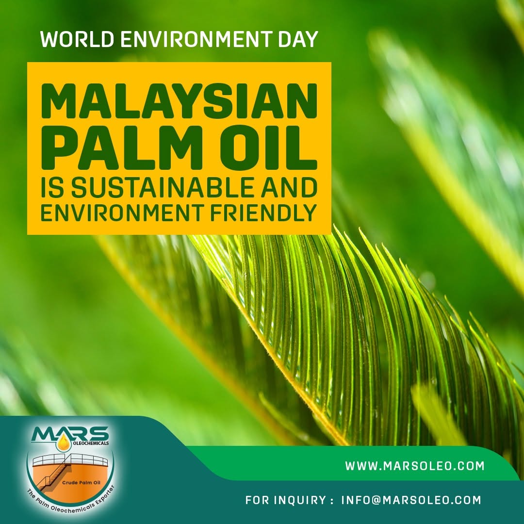 World Environment Day and responsible sustainable Malaysian palm oil production.