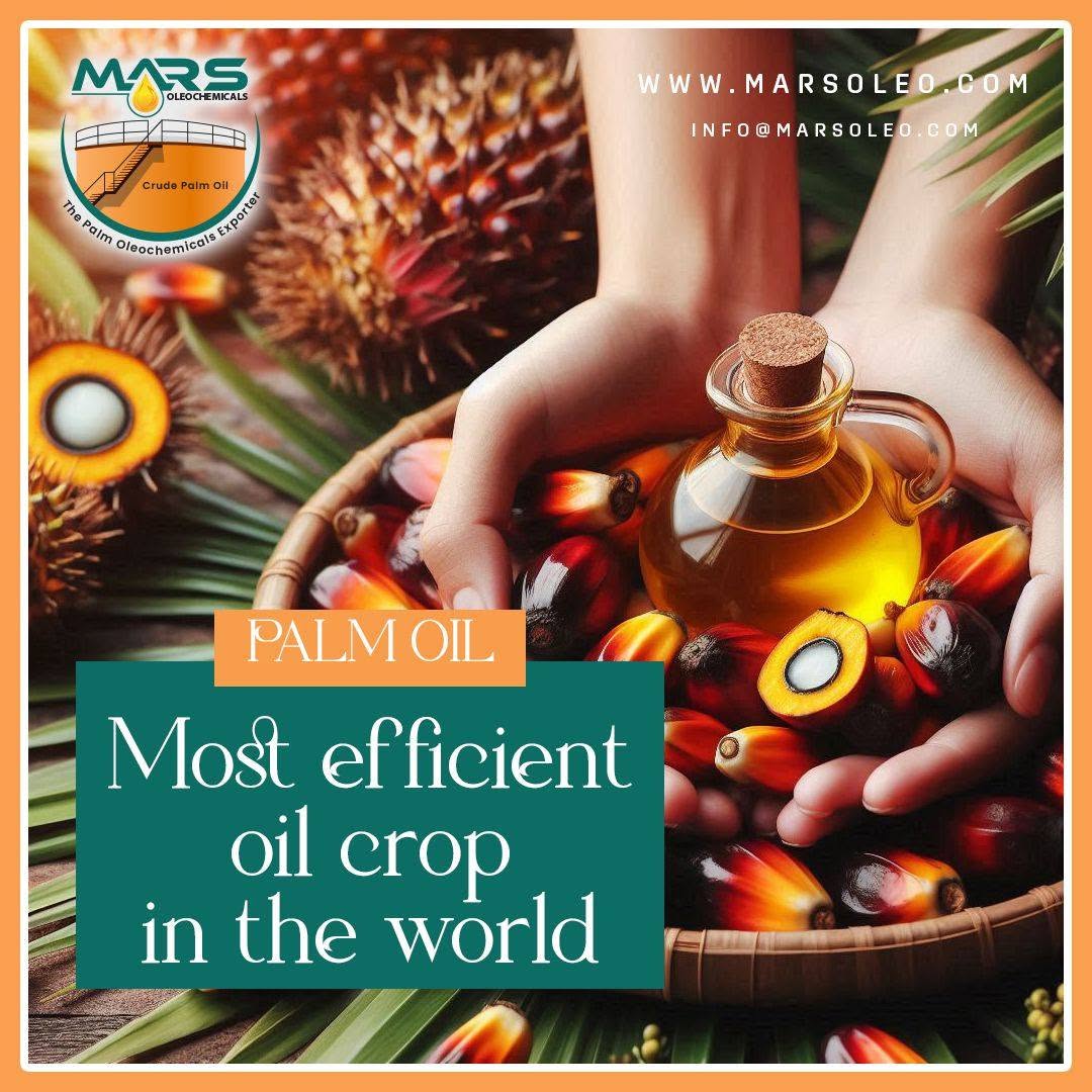 Palm oil productivity ripe palm fruits, golden palm oil and Mars Oleochemicals branding.