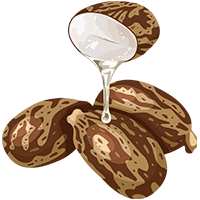 Castor Oil CIF Rotterdam