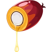 Palm Kernel Oil CIF Rotterdam