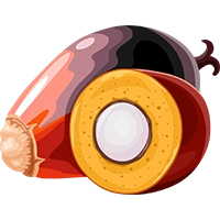 Palm Oil FOB Malaysia