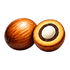 Crude Palm Kernel Oil Icon
