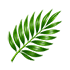 Crude Palm Oil Icon