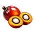 Palm Kernel