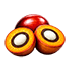 Processed Palm Kernel Oil Icon