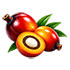 Palm Oil Icon