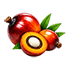 palm oil stock Oil Icon